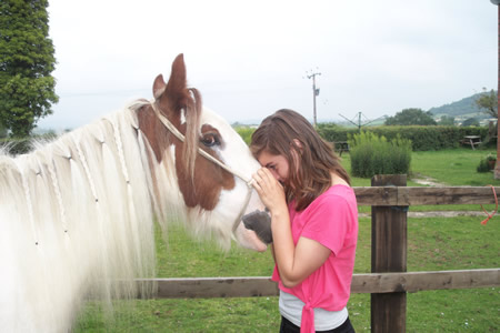 Patient, friendly horses