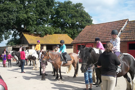 Our stables