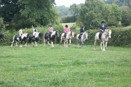 Rides through our organic pastures 